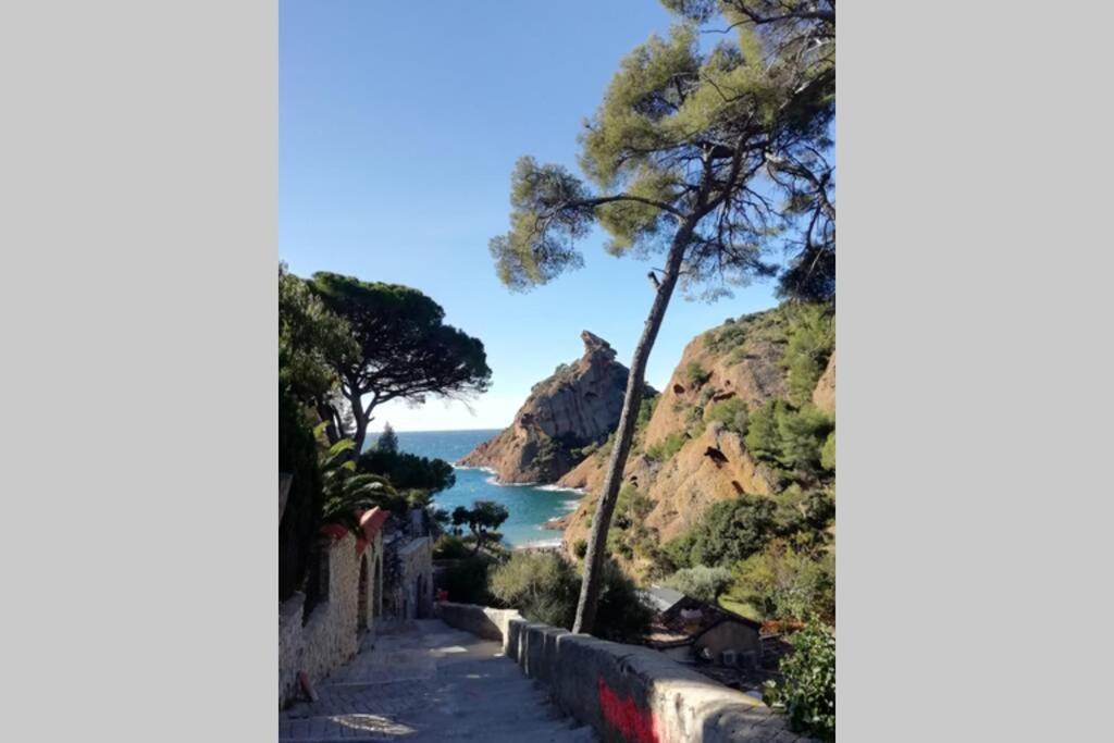 Le Repaire De La Cadiere A 5Mn Des Plages ! Saint-Cyr-sur-Mer Exterior photo