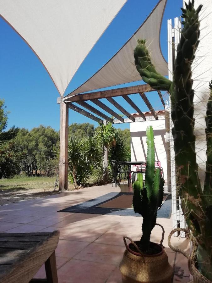Le Repaire De La Cadiere A 5Mn Des Plages ! Saint-Cyr-sur-Mer Exterior photo