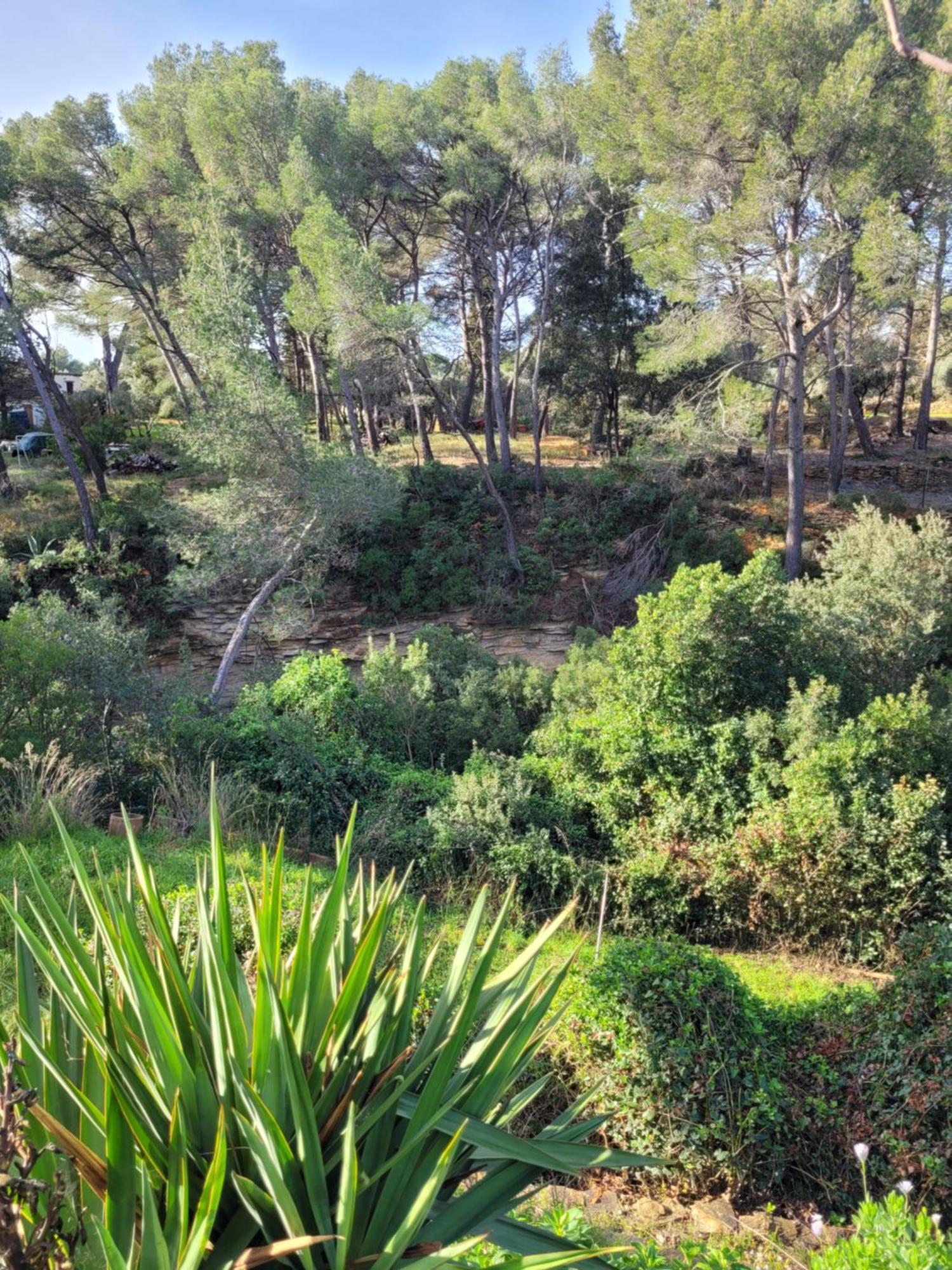 Le Repaire De La Cadiere A 5Mn Des Plages ! Saint-Cyr-sur-Mer Exterior photo